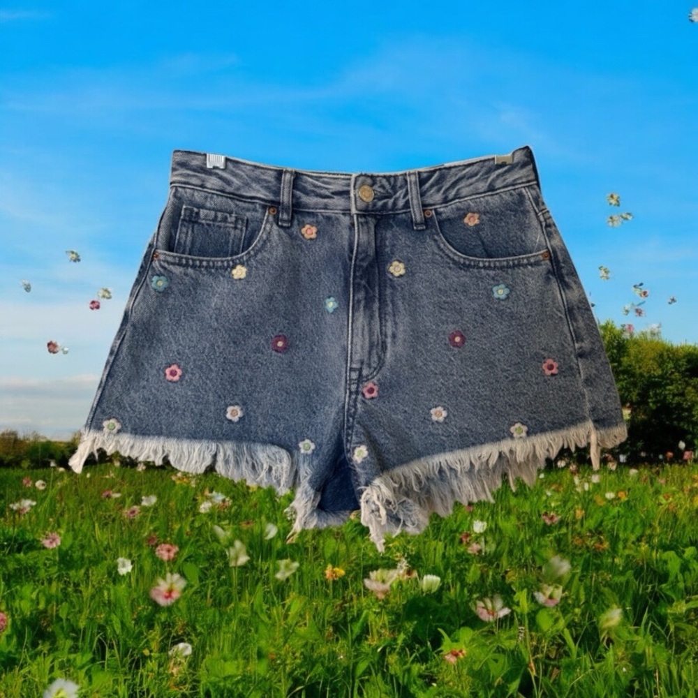 PacSun Festival Flower Shorts Size 26 Floral Embroidery Colorful Summer Hippie
